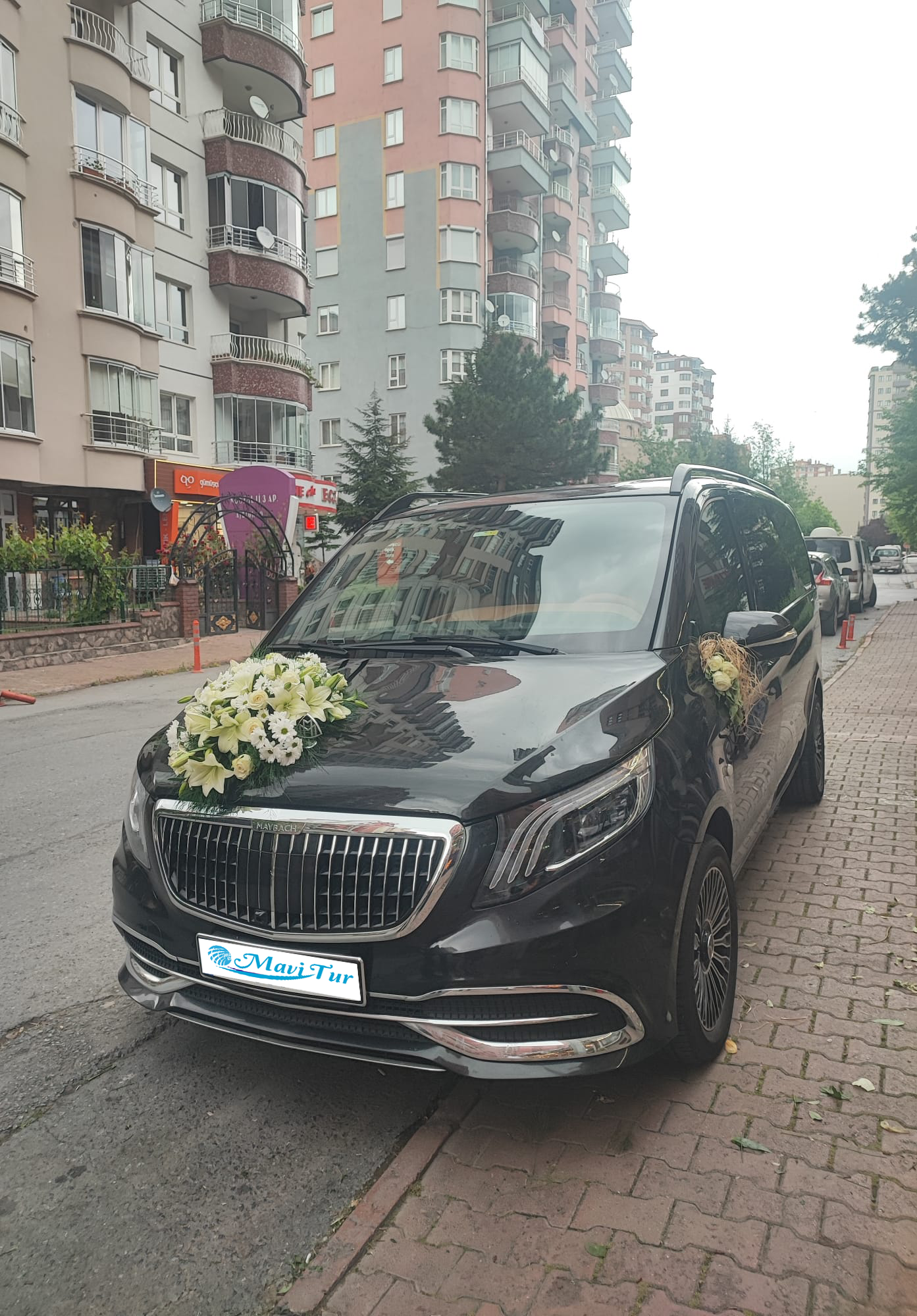 Mavi Tur Teknesi